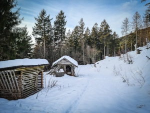 Wild-Futter-Häuschen und weiteres Häuschen