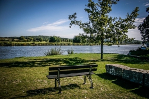 Ruhebank an der Fähr-Anlegestelle am Main