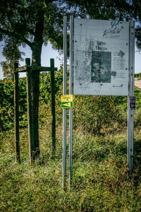 Infotafeln zum Weinwanderweg