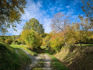 Im Hohlweg geradeaus bergauf