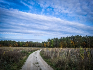 Main-Donau-Weg auf Hochebene