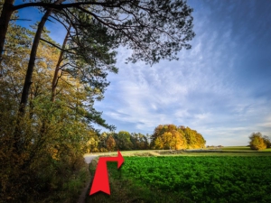 Am Straßenrand scharf nach rechts