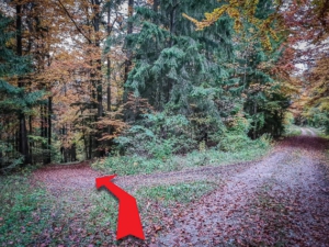 An großer Abzweigung nach links unten