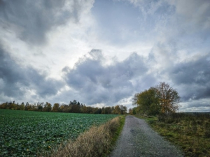 Weiterhin an Hecke entlang