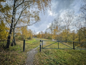 Geradeaus durchs zweite Tor