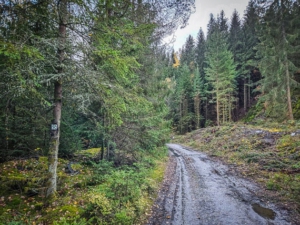 Auf breiterem Weg um den See