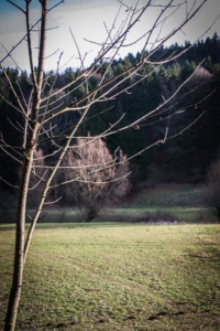 Blick ins Tal