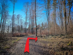 Auf halber Höhe am Wegweiser nach rechts zur Burgstall Haidhof abbiegen