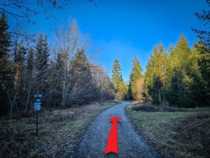 Geradeaus über Kreuzung hinweg