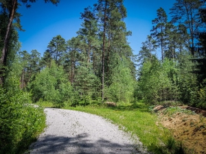 Weg macht Linksbogen