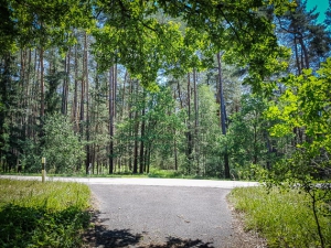 Überquerung der Landstraße