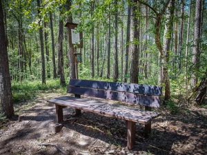 Sitzbank mit Sagen-Tafel