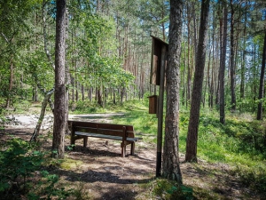 Wieder an der Sitzbank im Wald