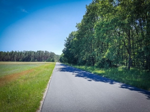 Ruhige Straße am Waldrand entlang