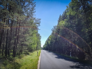 Ruhige Landstraße im Wald