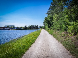 Weg am Main-Donau-Kanal entlang