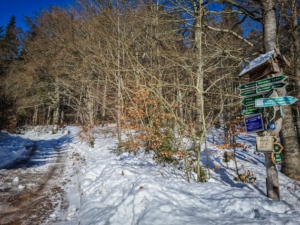 Wegweiser hoch zum Bleßberg