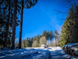 Große Lichtung am Weg