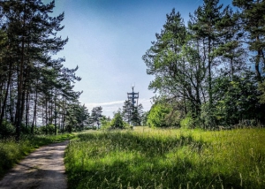 Aussichtsturm rückt ins Blickfeld