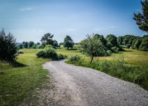 Breiter Schotterweg Richtung Pottenstein