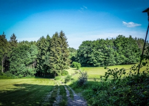 Kurze Etappe über Wiesen-Freifläche