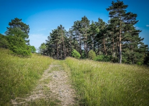 Weg am Hang entlang