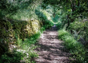 Weg an einer alten Steinmauer entlang