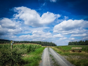 Geschotterter Weg über die Hochebene