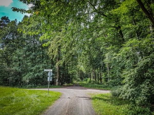 Große Wegkreuzung am Waldrand