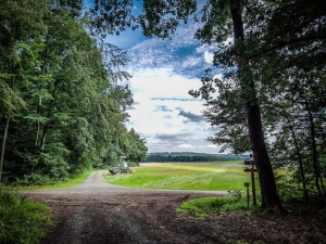 Große Kreuzung außen am Waldrand