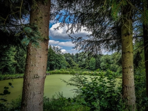 Großer Fischweiher