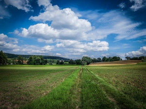 Gerader Feldweg