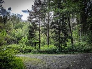 Unten nach links