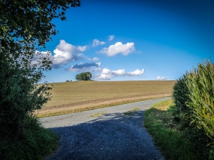 Hinaus auf die Hochebene