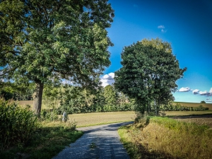 Mündung auf kleine Teerstraße