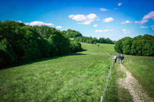 Wiesenweg vom Gügel zur Giechburg