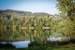 Blick auf den Igelsbachsee