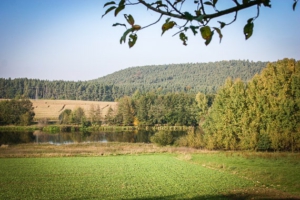 Rückweg zum Startpunkt