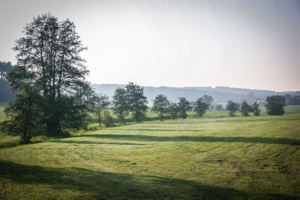 Blick in die weite Landschaft