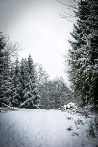 Weg auf dem Hochplateau