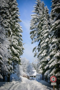 Breiter Weg im verschneiten Wald