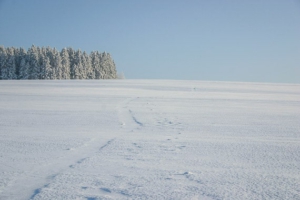 Blick über weites, verschneites Land