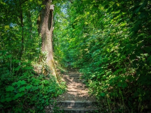 Wandersteig hoch zum Zeiler Käppele