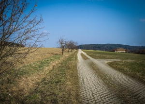 Gepflasterter Flurweg