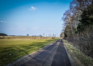 Am Waldrand entlang