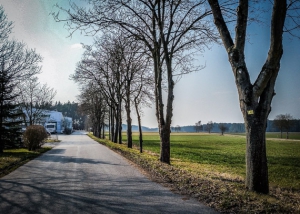Schmale Straße mit Allee