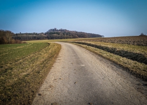 Geteerter Feldweg in Freifläche