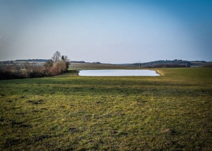 An angestautem Weiher vorbei