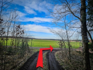 Unten am Waldrand nach rechts abbiegen