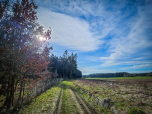 An ganz langem Waldrand entlang